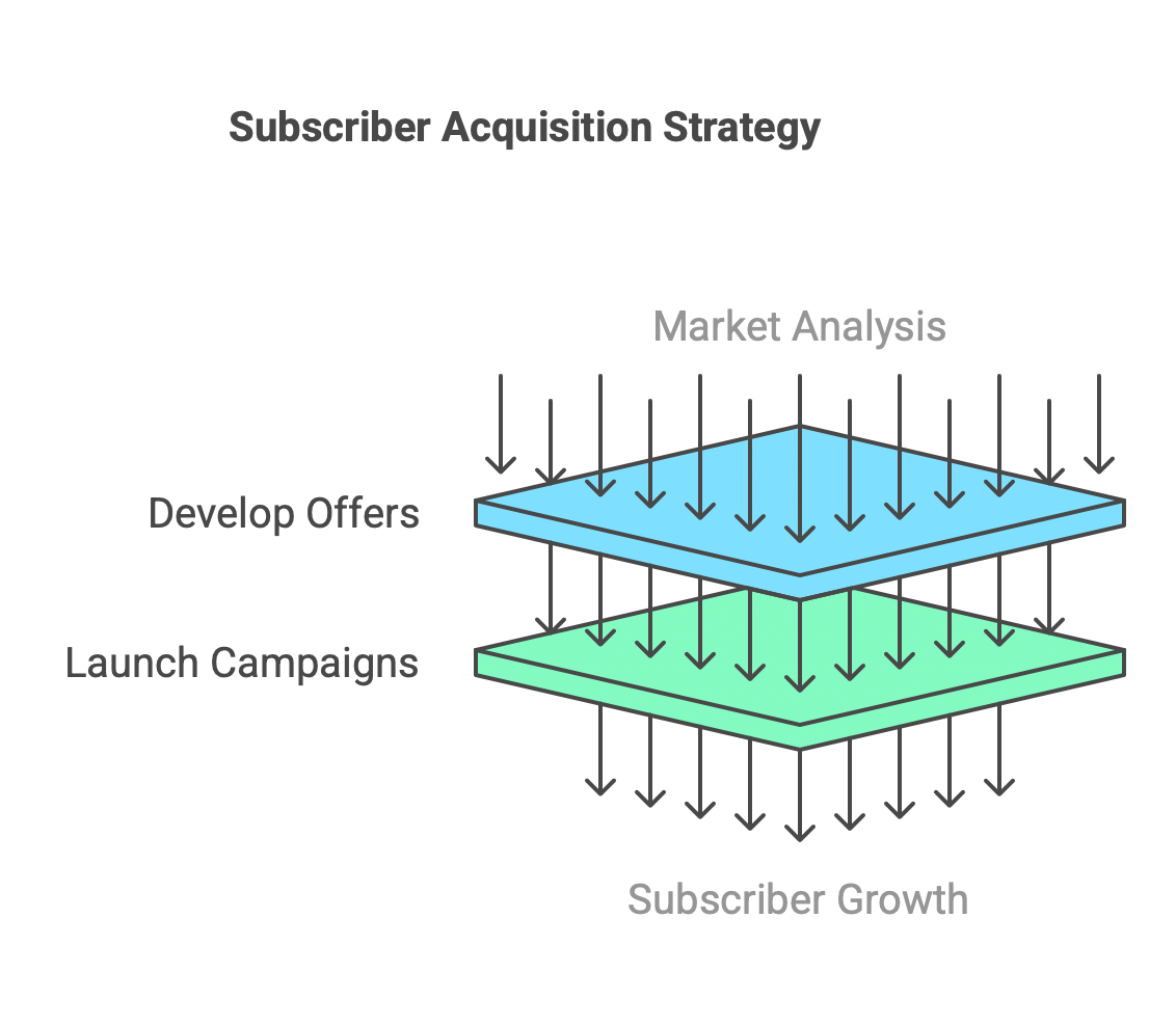 Subscriber Acquisition Strategies